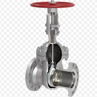 Flexible wedge gate valve